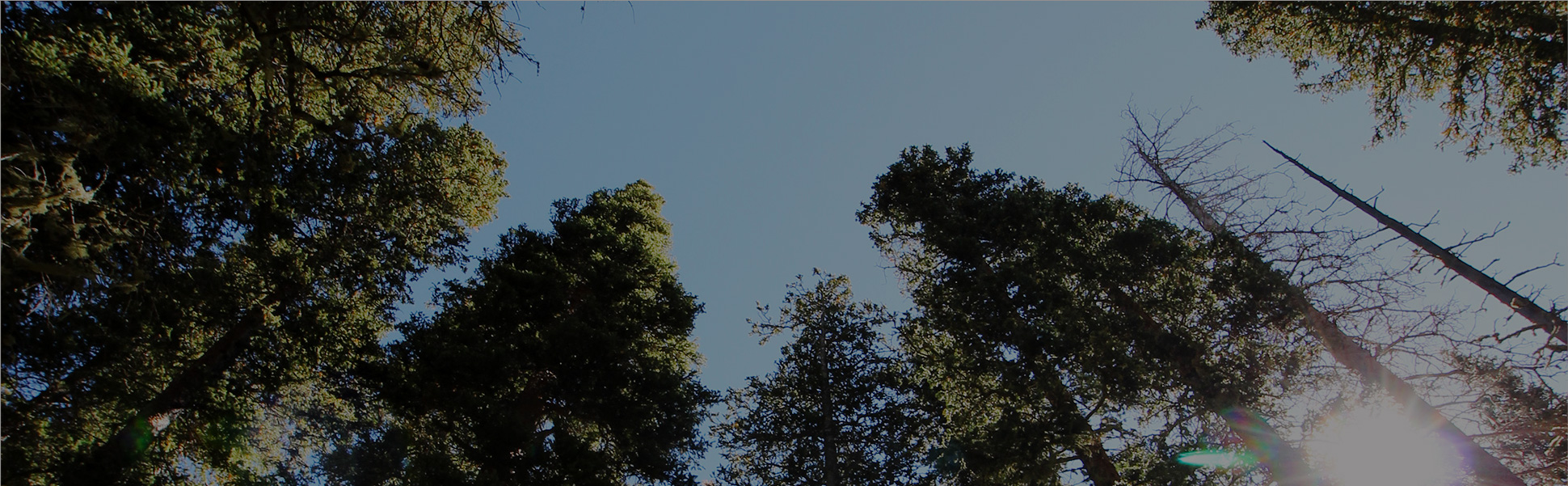 Motivational Quotes to Boost Your Confidence and Be Inspired