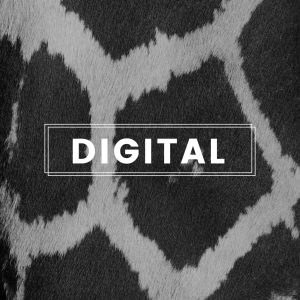 Digital Design - The Studio Zoom